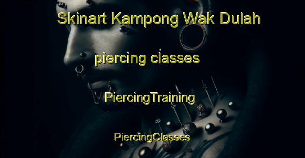 Skinart Kampong Wak Dulah piercing classes | #PiercingTraining #PiercingClasses #SkinartTraining-Singapore