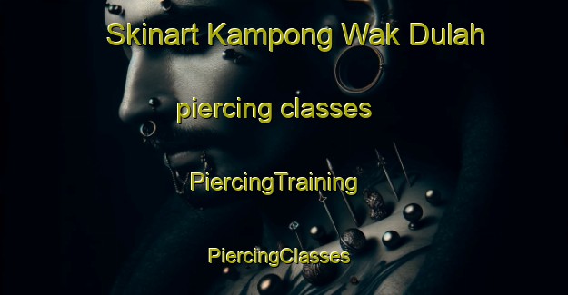 Skinart Kampong Wak Dulah piercing classes | PiercingTraining | PiercingClasses | SkinartTraining-Singapore