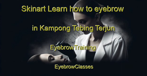 Skinart Learn how to eyebrow in Kampong Tebing Terjun | EyebrowTraining | EyebrowClasses | SkinartTraining-Singapore