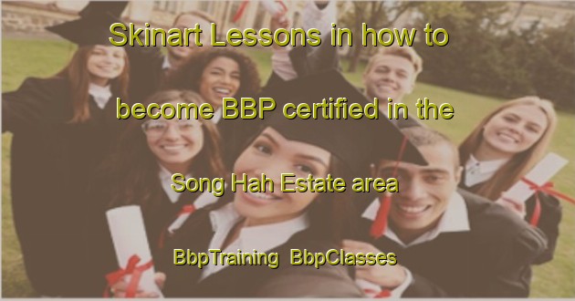 Skinart Lessons in how to become BBP certified in the Song Hah Estate area | BbpTraining | BbpClasses | SkinartTraining-Singapore