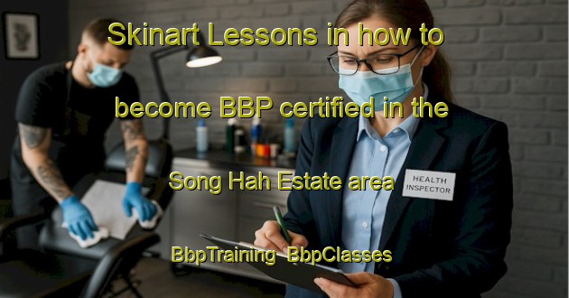 Skinart Lessons in how to become BBP certified in the Song Hah Estate area | BbpTraining | BbpClasses | SkinartTraining-Singapore