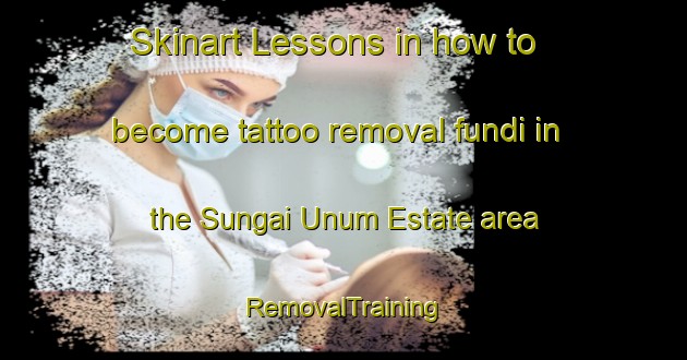 Skinart Lessons in how to become tattoo removal fundi in the Sungai Unum Estate area | RemovalTraining | RemovalClasses | SkinartTraining-Singapore