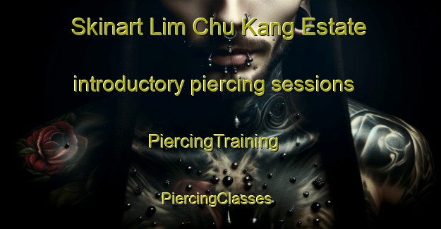 Skinart Lim Chu Kang Estate introductory piercing sessions | PiercingTraining | PiercingClasses | SkinartTraining-Singapore