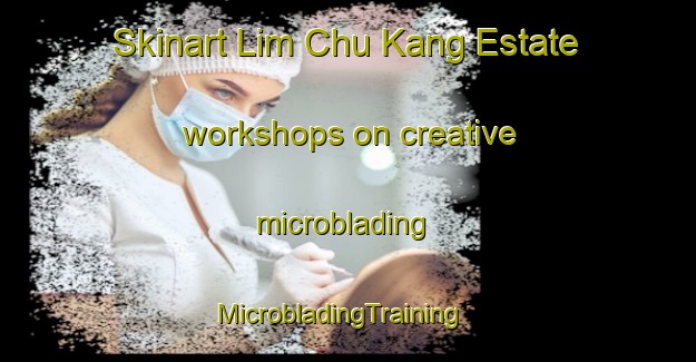 Skinart Lim Chu Kang Estate workshops on creative microblading | MicrobladingTraining | MicrobladingClasses | SkinartTraining-Singapore