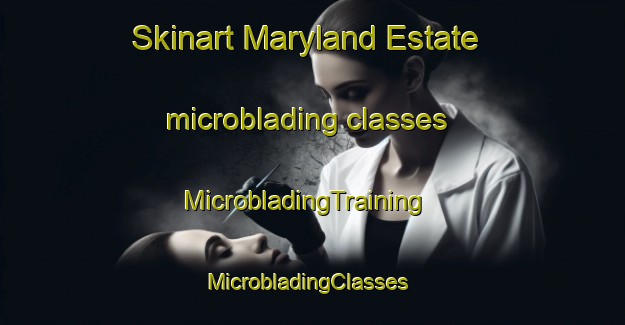 Skinart Maryland Estate microblading classes | MicrobladingTraining | MicrobladingClasses | SkinartTraining-Singapore