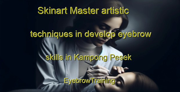Skinart Master artistic techniques in develop eyebrow skills in Kampong Pesek | EyebrowTraining | EyebrowClasses | SkinartTraining-Singapore