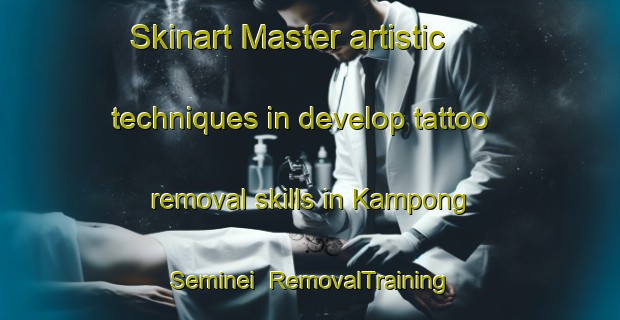 Skinart Master artistic techniques in develop tattoo removal skills in Kampong Seminei | RemovalTraining | RemovalClasses | SkinartTraining-Singapore