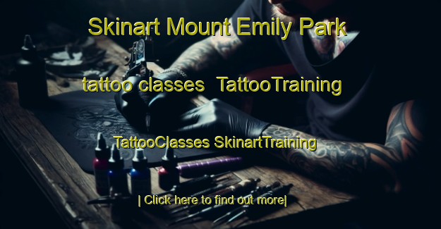 Skinart Mount Emily Park tattoo classes | #TattooTraining #TattooClasses #SkinartTraining-Singapore