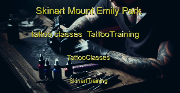 Skinart Mount Emily Park tattoo classes | TattooTraining | TattooClasses | SkinartTraining-Singapore