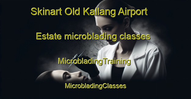 Skinart Old Kallang Airport Estate microblading classes | #MicrobladingTraining #MicrobladingClasses #SkinartTraining-Singapore