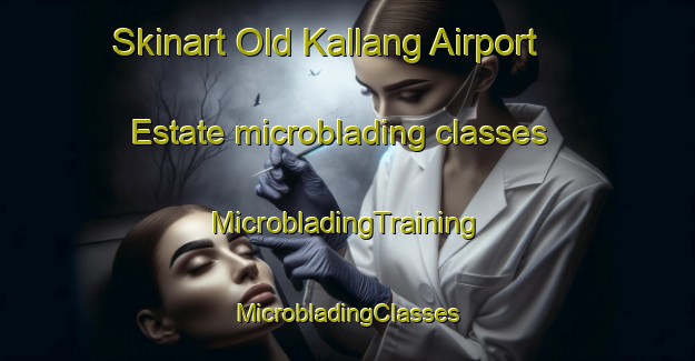 Skinart Old Kallang Airport Estate microblading classes | #MicrobladingTraining #MicrobladingClasses #SkinartTraining-Singapore