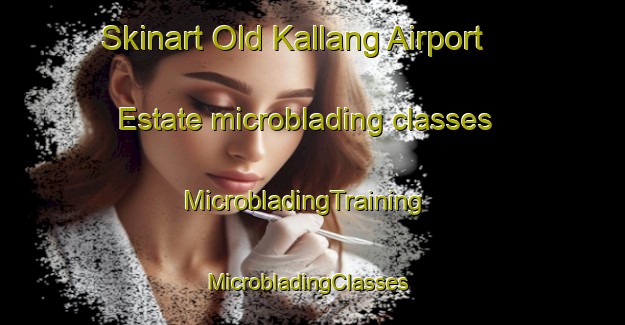 Skinart Old Kallang Airport Estate microblading classes | MicrobladingTraining | MicrobladingClasses | SkinartTraining-Singapore