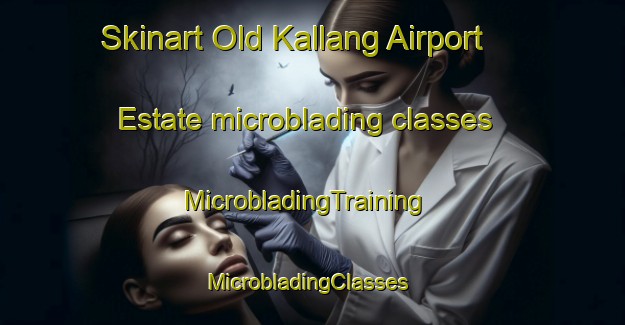 Skinart Old Kallang Airport Estate microblading classes | MicrobladingTraining | MicrobladingClasses | SkinartTraining-Singapore
