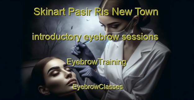 Skinart Pasir Ris New Town introductory eyebrow sessions | EyebrowTraining | EyebrowClasses | SkinartTraining-Singapore
