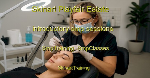 Skinart Playfair Estate introductory smp sessions | SmpTraining | SmpClasses | SkinartTraining-Singapore