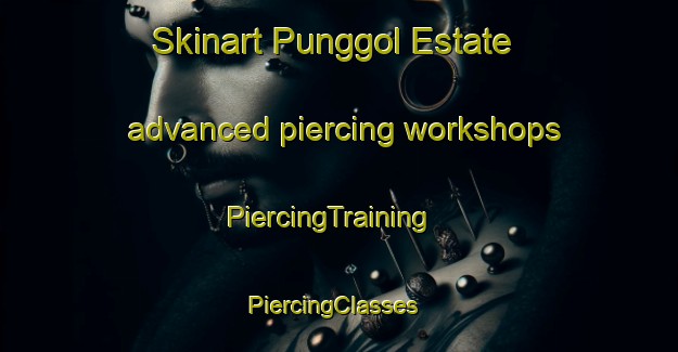 Skinart Punggol Estate advanced piercing workshops | PiercingTraining | PiercingClasses | SkinartTraining-Singapore