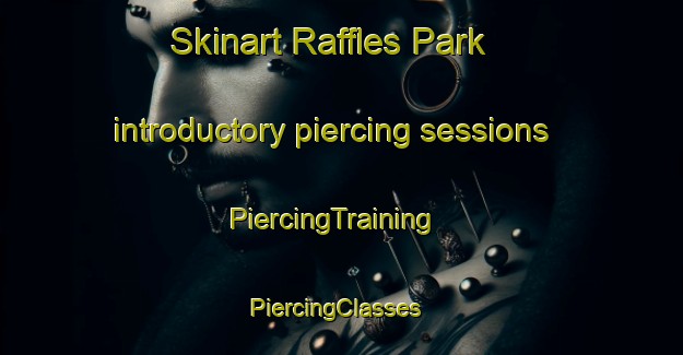 Skinart Raffles Park introductory piercing sessions | PiercingTraining | PiercingClasses | SkinartTraining-Singapore