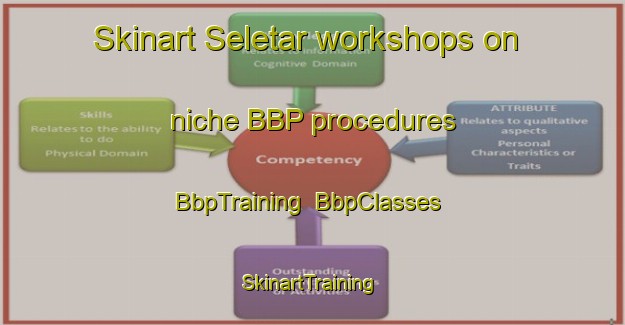 Skinart Seletar workshops on niche BBP procedures | BbpTraining | BbpClasses | SkinartTraining-Singapore