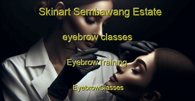 Skinart Sembawang Estate eyebrow classes | EyebrowTraining | EyebrowClasses | SkinartTraining-Singapore