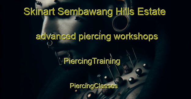 Skinart Sembawang Hills Estate advanced piercing workshops | PiercingTraining | PiercingClasses | SkinartTraining-Singapore