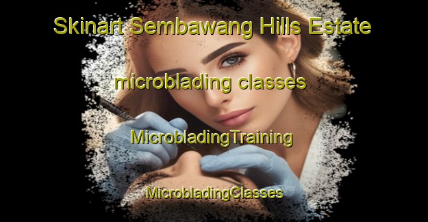 Skinart Sembawang Hills Estate microblading classes | #MicrobladingTraining #MicrobladingClasses #SkinartTraining-Singapore