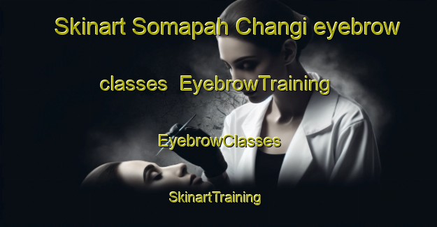 Skinart Somapah Changi eyebrow classes | EyebrowTraining | EyebrowClasses | SkinartTraining-Singapore