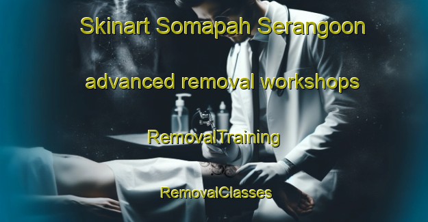 Skinart Somapah Serangoon advanced removal workshops | RemovalTraining | RemovalClasses | SkinartTraining-Singapore