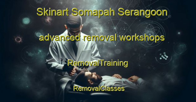 Skinart Somapah Serangoon advanced removal workshops | RemovalTraining | RemovalClasses | SkinartTraining-Singapore