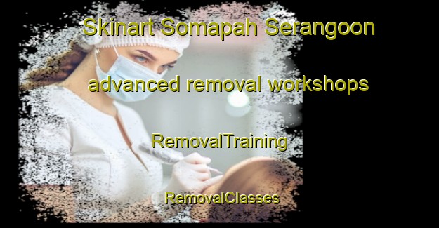 Skinart Somapah Serangoon advanced removal workshops | RemovalTraining | RemovalClasses | SkinartTraining-Singapore