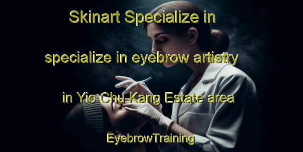 Skinart Specialize in specialize in eyebrow artistry in Yio Chu Kang Estate area | EyebrowTraining | EyebrowClasses | SkinartTraining-Singapore