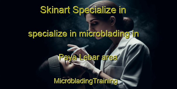 Skinart Specialize in specialize in microblading in Paya Lebar area | MicrobladingTraining | MicrobladingClasses | SkinartTraining-Singapore