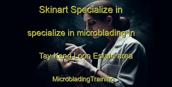 Skinart Specialize in specialize in microblading in Tay Keng Loon Estate area | MicrobladingTraining | MicrobladingClasses | SkinartTraining-Singapore