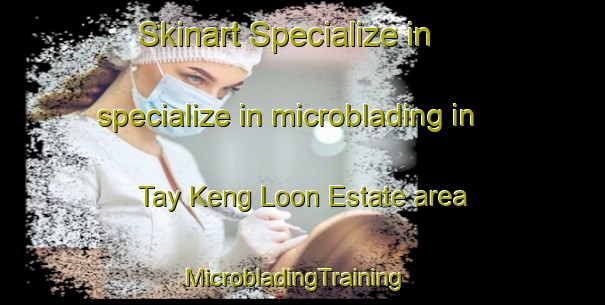 Skinart Specialize in specialize in microblading in Tay Keng Loon Estate area | MicrobladingTraining | MicrobladingClasses | SkinartTraining-Singapore