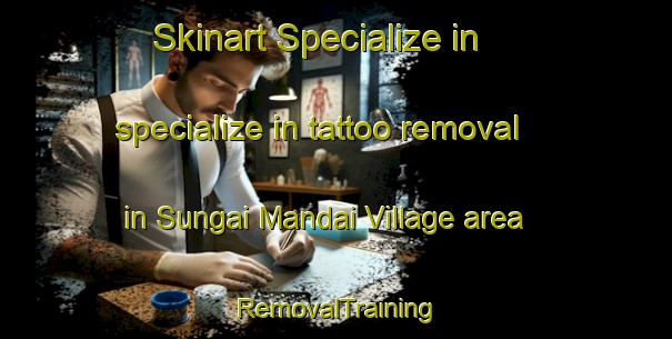 Skinart Specialize in specialize in tattoo removal in Sungai Mandai Village area | RemovalTraining | RemovalClasses | SkinartTraining-Singapore