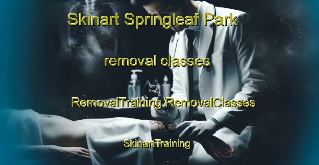 Skinart Springleaf Park removal classes | #RemovalTraining #RemovalClasses #SkinartTraining-Singapore