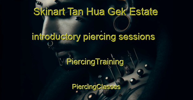 Skinart Tan Hua Gek Estate introductory piercing sessions | #PiercingTraining #PiercingClasses #SkinartTraining-Singapore