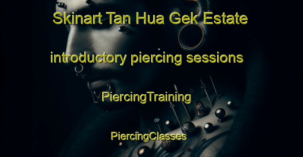 Skinart Tan Hua Gek Estate introductory piercing sessions | PiercingTraining | PiercingClasses | SkinartTraining-Singapore