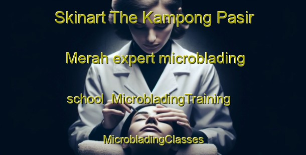 Skinart The Kampong Pasir Merah expert microblading school | #MicrobladingTraining #MicrobladingClasses #SkinartTraining-Singapore