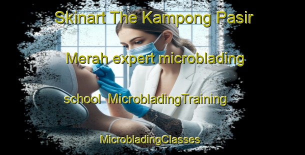 Skinart The Kampong Pasir Merah expert microblading school | MicrobladingTraining | MicrobladingClasses | SkinartTraining-Singapore