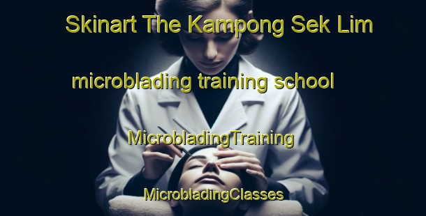 Skinart The Kampong Sek Lim microblading training school | #MicrobladingTraining #MicrobladingClasses #SkinartTraining-Singapore