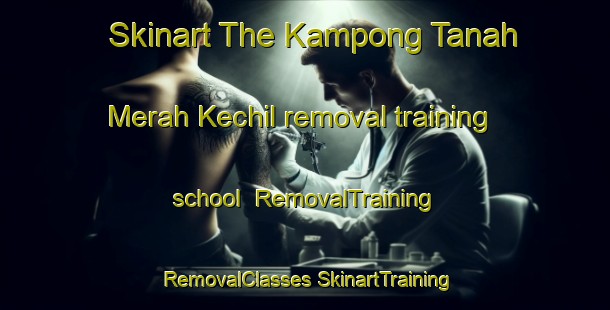 Skinart The Kampong Tanah Merah Kechil removal training school | #RemovalTraining #RemovalClasses #SkinartTraining-Singapore