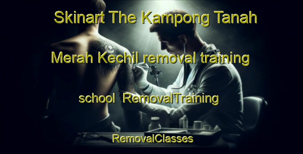 Skinart The Kampong Tanah Merah Kechil removal training school | RemovalTraining | RemovalClasses | SkinartTraining-Singapore