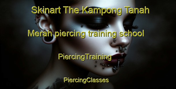 Skinart The Kampong Tanah Merah piercing training school | PiercingTraining | PiercingClasses | SkinartTraining-Singapore