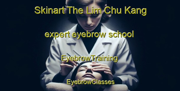 Skinart The Lim Chu Kang expert eyebrow school | EyebrowTraining | EyebrowClasses | SkinartTraining-Singapore