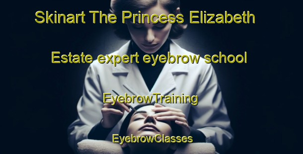 Skinart The Princess Elizabeth Estate expert eyebrow school | EyebrowTraining | EyebrowClasses | SkinartTraining-Singapore