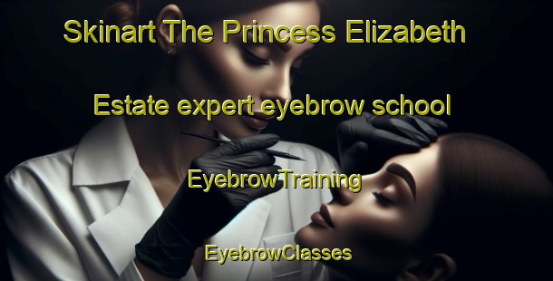 Skinart The Princess Elizabeth Estate expert eyebrow school | EyebrowTraining | EyebrowClasses | SkinartTraining-Singapore