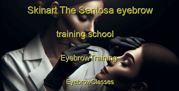Skinart The Sentosa eyebrow training school | EyebrowTraining | EyebrowClasses | SkinartTraining-Singapore