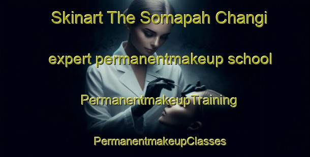 Skinart The Somapah Changi expert permanentmakeup school | PermanentmakeupTraining | PermanentmakeupClasses | SkinartTraining-Singapore