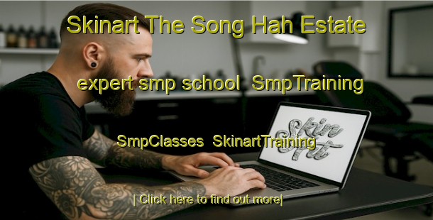 Skinart The Song Hah Estate expert smp school | SmpTraining | SmpClasses | SkinartTraining-Singapore