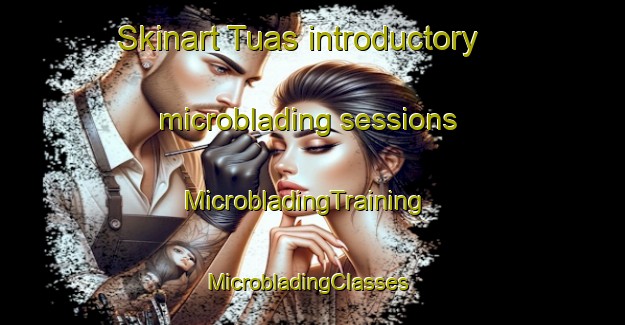 Skinart Tuas introductory microblading sessions | MicrobladingTraining | MicrobladingClasses | SkinartTraining-Singapore